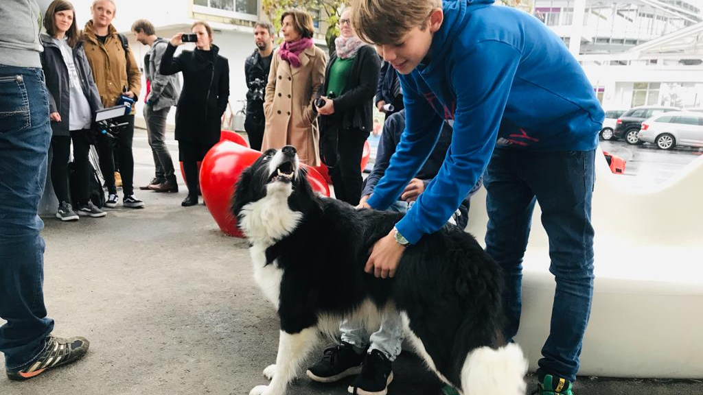 Hundebisse Gefahr für Kinder Antenne Steiermark