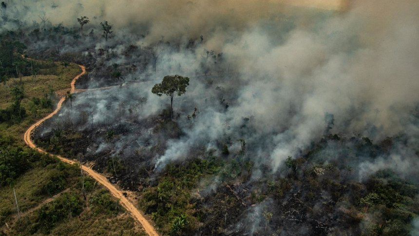 Waldbrande Im Amazonas Antenne Steiermark